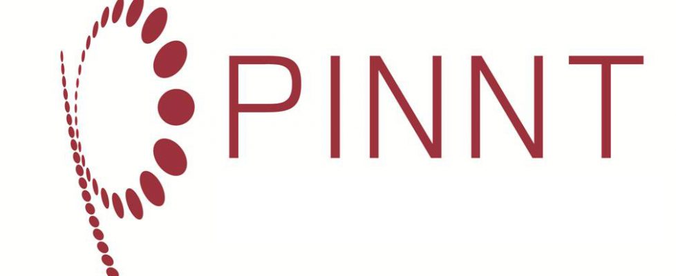 pinnt logo flat