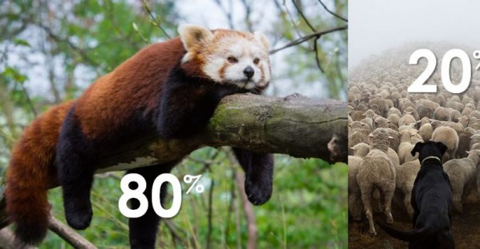 Web content effectiveness