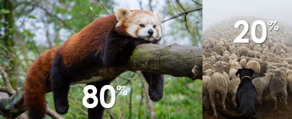 Web content effectiveness