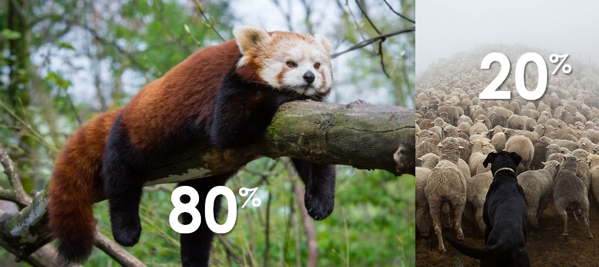 Web content effectiveness